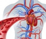 16 признаков того, что в организме есть токсичная, перегруженная лимфа