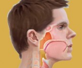 Эта гимнастика для шеи творит чудеса: 4 упражнения Эта гимнастика для шеи творит чудеса: 4 упражнения