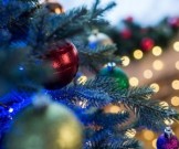 5 советов по уходу за новогодней елкой 5 советов по уходу за новогодней елкой