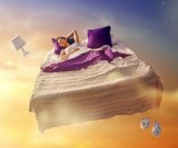 4 режима сна, которые позволят выспаться всего за несколько часов в сутки 4 режима сна, которые позволят выспаться всего за несколько часов в сутки