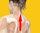 3 упражнения, которые помогут быстро исправить осанку 3 упражнения, которые помогут быстро исправить осанку