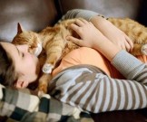 Домашние животные снимают стресс и успокаивают нервную систему
