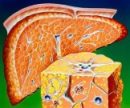 6&nbsp;мощных продуктов и трав для клеточного омоложения печени