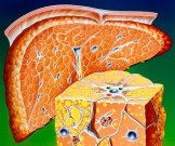 6 мощных продуктов и трав для клеточного омоложения печени 6 мощных продуктов и трав для клеточного омоложения печени