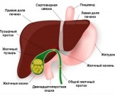 Действенные рецепты для профилактики и лечения желчнокаменной болезни
