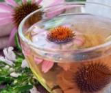 Натуральные рецепты из золотого уса, меда и эхинацеи при гриппе