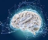 5 советов, которые помогут сохранить молодость мозга