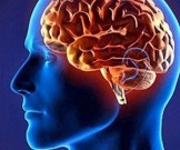 Как высокое кровяное давление может погубить мозг Как высокое кровяное давление может погубить мозг