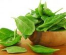 4 полезных продукта, которые надо есть ежедневно
