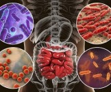 Ваша постоянная усталость берет начало в кишечнике