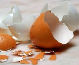 Яичная скорлупа и 6 натуральных средств на ее основе Яичная скорлупа и 6 натуральных средств на ее основе