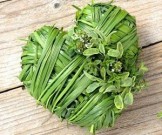 Натуральные средства при нарушениях сердечного ритма Натуральные средства при нарушениях сердечного ритма