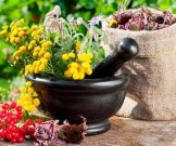 Фитотерапия для укрепления сердечно-сосудистой системы при заболеваниях щитовидной железы Фитотерапия для укрепления сердечно-сосудистой системы при заболеваниях щитовидной железы