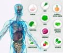10 супер продуктов, которые помогут уморить раковые клетки