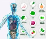 10 супер продуктов, которые помогут уморить раковые клетки