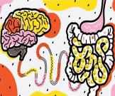 Почему кишечник – второй мозг, и как нами управляют бактерии