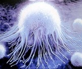 12 способов снизить риск развития рака 12 способов снизить риск развития рака
