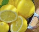 Удивительные и полезные свойства цедры и кожуры лимона