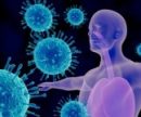Советы иммунолога: эффективные противовирусные добавки