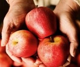 6 лучших продуктов для укрепления легких в сезон опасных инфекций 6 лучших продуктов для укрепления легких в сезон опасных инфекций