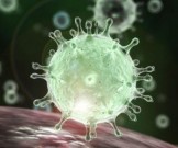 Коронавирус: как защитить себя с помощью эфирных масел Коронавирус: как защитить себя с помощью эфирных масел
