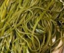 От вирусов может защитить простой и недорогой продукт