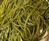 От вирусов может защитить простой и недорогой продукт От вирусов может защитить простой и недорогой продукт