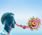 Йод&nbsp;— мощное оружие против вирусных инфекций