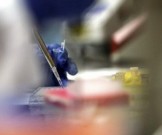 В Украине разработали свою тест-систему для диагностики коронавируса