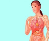 Самодиагностика: 6 экспресс-тестов для определения проблем со здоровьем Самодиагностика: 6 экспресс-тестов для определения проблем со здоровьем