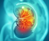 15 привычек, которые убивают ваши почки 15 привычек, которые убивают ваши почки