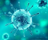 Итальянские врачи раскрыли невероятный способ излечения от коронавируса Итальянские врачи раскрыли невероятный способ излечения от коронавируса