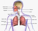 Дыхательные практики на все случаи жизни