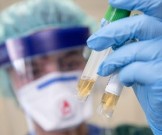 Когда ждать вакцину от коронавируса Когда ждать вакцину от коронавируса