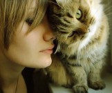 Как домашние животные влияют на здоровье Как домашние животные влияют на здоровье