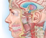 9 элементов, нехватка которых бъет по психике 9 элементов, нехватка которых бъет по психике