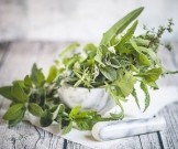 Травы для очищения крови при гельминтозе Травы для очищения крови при гельминтозе