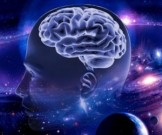 Определены самые доступные супернапитки для мозга Определены самые доступные супернапитки для мозга