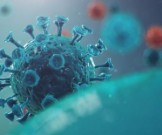Где еще в организме человека может размножаться Covid-19, кроме легких