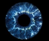 Коронавирус выживает в человеческом глазу длительное время Коронавирус выживает в человеческом глазу длительное время
