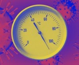 При какой температуре погибает коронавирус: новые данные При какой температуре погибает коронавирус: новые данные