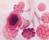 Выявлена опасная особенность коронавируса Выявлена опасная особенность коронавируса