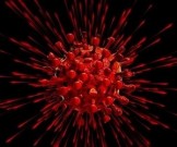 Стали известны особенности появления иммунитета к Covid-19