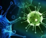 Ученые обнаружили антитела, которые эффективно борются с коронавирусом Ученые обнаружили антитела, которые эффективно борются с коронавирусом