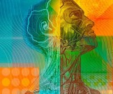 Лучшая поддержка для иммунной системы