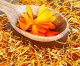Домашние натуральные средства для заживления герпеса на губах Домашние натуральные средства для заживления герпеса на губах