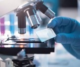 Альтернатива вакцине от коронавируса: ученые разрабатывают уникальное лекарство на основе антител Альтернатива вакцине от коронавируса: ученые разрабатывают уникальное лекарство на основе антител