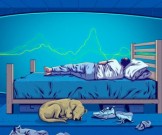 Чем опасен Wi-Fi роутер и почему его стоит отключать перед сном? Чем опасен Wi-Fi роутер и почему его стоит отключать перед сном?