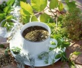 Лучшие лекарственные растения для оздоровления и очищения кишечника Лучшие лекарственные растения для оздоровления и очищения кишечника